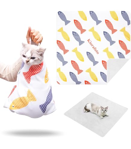 Amazon.co.jp: なめ猫 レトロ なめんなよ猫 下敷き ！ : ペット用品